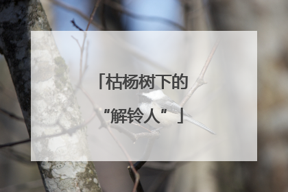 枯杨树下的“解铃人”