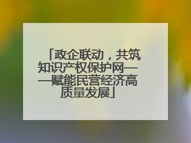 政企联动，共筑知识产权保护网——赋能民营经济高质量发展