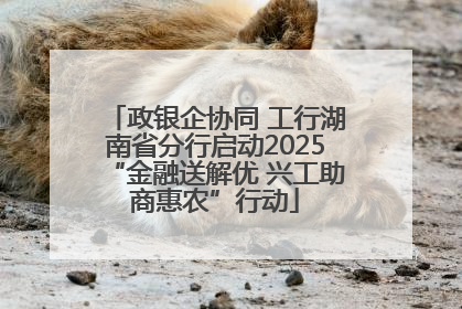 政银企协同 工行湖南省分行启动2025“金融送解优 兴工助商惠农”行动