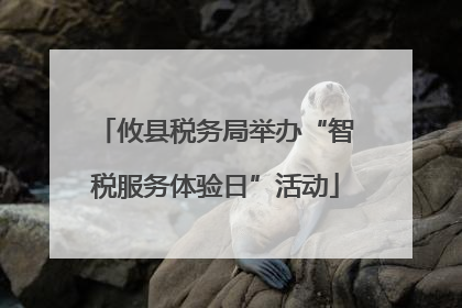 攸县税务局举办“智税服务体验日”活动
