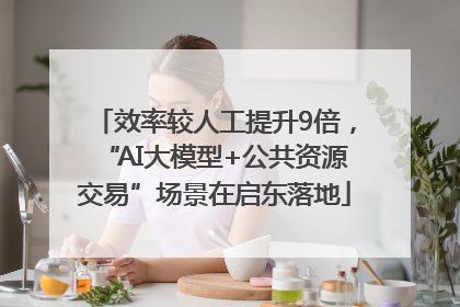 效率较人工提升9倍，“AI大模型+公共资源交易”场景在启东落地