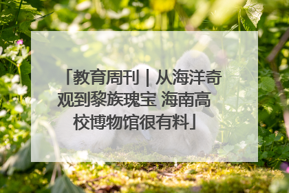 教育周刊｜从海洋奇观到黎族瑰宝 海南高校博物馆很有料