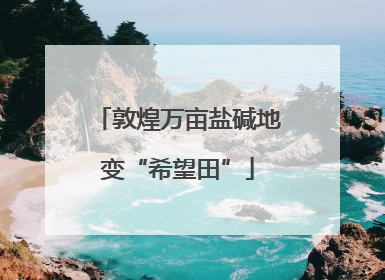 敦煌万亩盐碱地变“希望田”