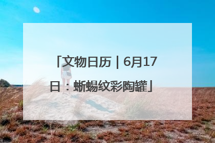 文物日历｜6月17日：蜥蜴纹彩陶罐