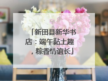 新田县新华书店：端午黏土趣，粽香情谊长