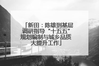 新田：陈雄到基层调研指导“十五五”规划编制与城乡品质大提升工作