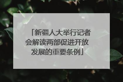 新疆人大举行记者会解读两部促进开放发展的重要条例