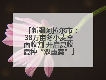 新疆阿拉尔市：38万亩冬小麦全面收割 开启夏收夏种“双重奏”