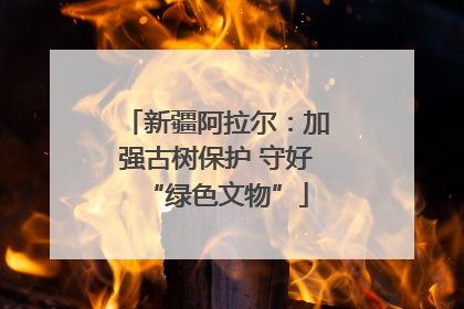 新疆阿拉尔：加强古树保护 守好“绿色文物”