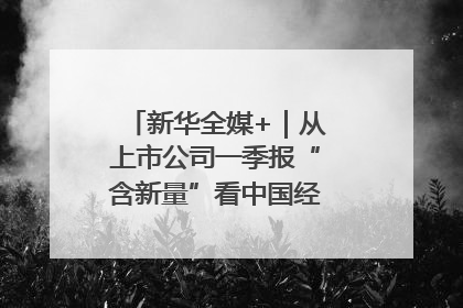 新华全媒+｜从上市公司一季报“含新量”看中国经济发展向“新”