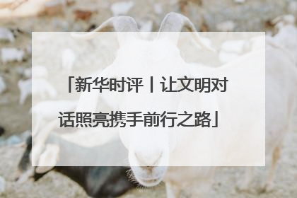 新华时评丨让文明对话照亮携手前行之路