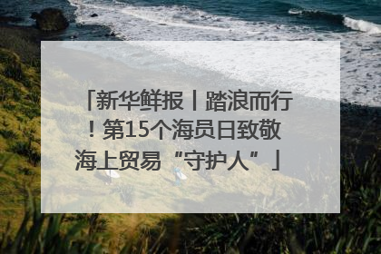 新华鲜报丨踏浪而行！第15个海员日致敬海上贸易“守护人”