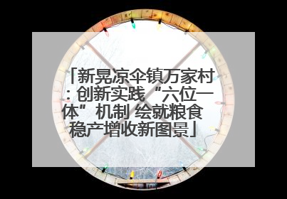 新晃凉伞镇万家村：创新实践“六位一体”机制 绘就粮食稳产增收新图景