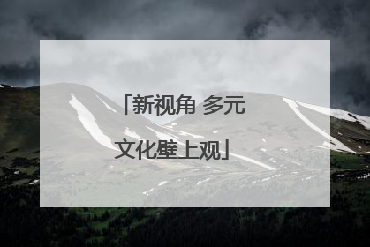 新视角 多元文化壁上观