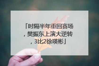 时隔半年重回赛场，樊振东上演大逆转，3比2徐瑛彬