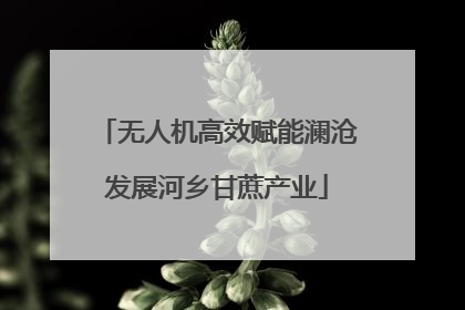 无人机高效赋能澜沧发展河乡甘蔗产业