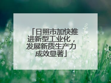 日照市加快推进新型工业化，发展新质生产力成效显著
