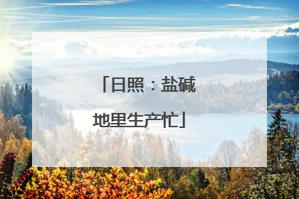 日照：盐碱地里生产忙
