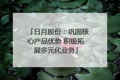 日月股份：巩固核心产品优势 积极拓展多元化业务