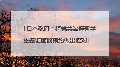 日本政府：将就美暂停新学生签证面谈预约做出应对