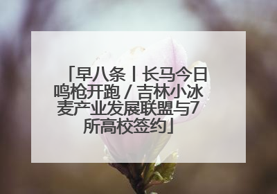 早八条丨长马今日鸣枪开跑／吉林小冰麦产业发展联盟与7所高校签约