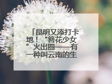 昆明又添打卡地！“簪花少女”火出圈——有一种叫云南的生活之365天