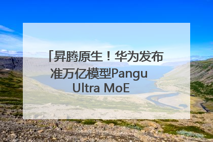 昇腾原生！华为发布准万亿模型Pangu Ultra MoE模型架构和训练细节