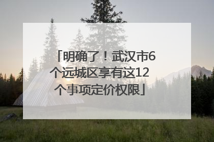 明确了！武汉市6个远城区享有这12个事项定价权限