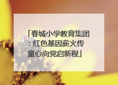 春城小学教育集团：红色基因薪火传 童心向党启新程