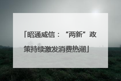 昭通威信：“两新”政策持续激发消费热潮
