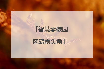 智慧零碳园区崭露头角