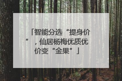 智能分选“提身价”，仙居杨梅优质优价变“金果”