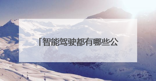 智能驾驶都有哪些公司？Momenta“穿行桥底迷宫”无法不令人印象深刻！