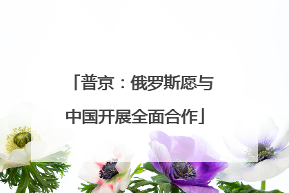 普京：俄罗斯愿与中国开展全面合作