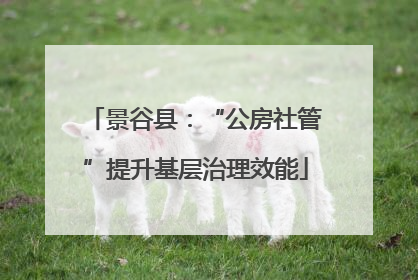 景谷县：“公房社管”提升基层治理效能