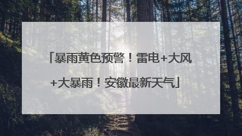 暴雨黄色预警！雷电+大风+大暴雨！安徽最新天气