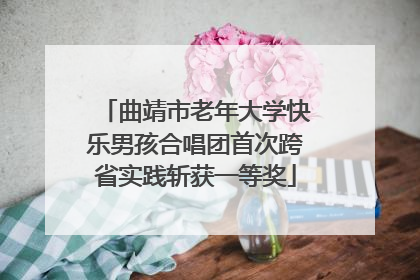 曲靖市老年大学快乐男孩合唱团首次跨省实践斩获一等奖