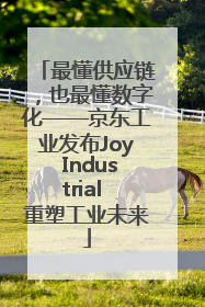 最懂供应链，也最懂数字化——京东工业发布Joy Industrial 重塑工业未来