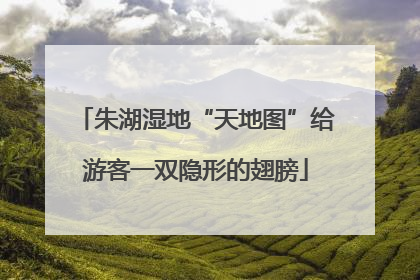 朱湖湿地“天地图”给游客一双隐形的翅膀