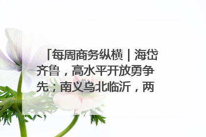 每周商务纵横｜海岱齐鲁，高水平开放勇争先；南义乌北临沂，两扇窗里观外贸