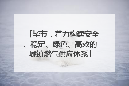 毕节：着力构建安全、稳定、绿色、高效的城镇燃气供应体系