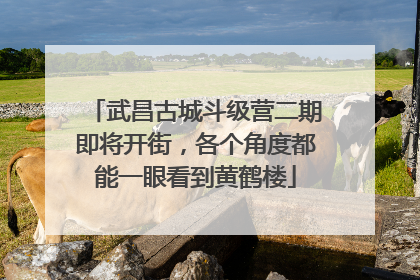 武昌古城斗级营二期即将开街，各个角度都能一眼看到黄鹤楼