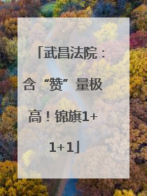 武昌法院：含“赞”量极高！锦旗1+1+1