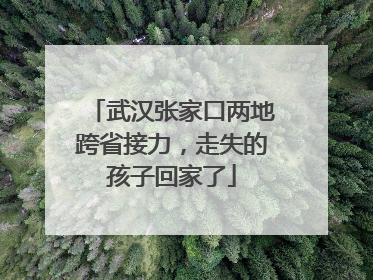 武汉张家口两地跨省接力，走失的孩子回家了