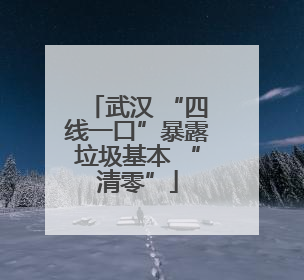 武汉 “四线一口”暴露垃圾基本 “清零”