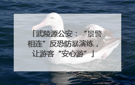 武陵源公安：“景警相连”反恐防暴演练，让游客“安心游”