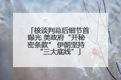 核谈判幕后细节首曝光 美政府“开秘密条款” 伊朗坚持“三大底线”