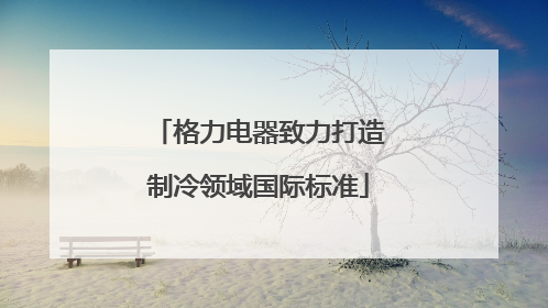 格力电器致力打造制冷领域国际标准