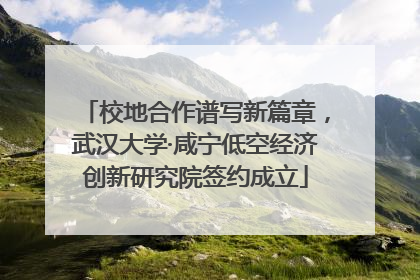 校地合作谱写新篇章，武汉大学·咸宁低空经济创新研究院签约成立