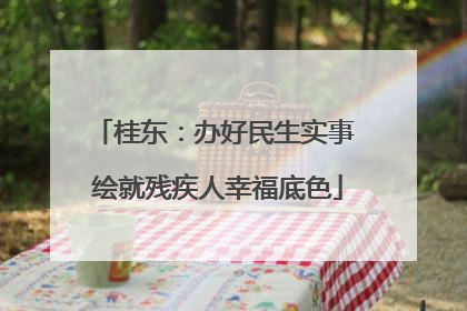 桂东：办好民生实事 绘就残疾人幸福底色